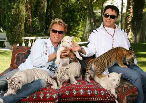  tiger cubs are making their debut at Siegfried & Roy's Secret Garden and 